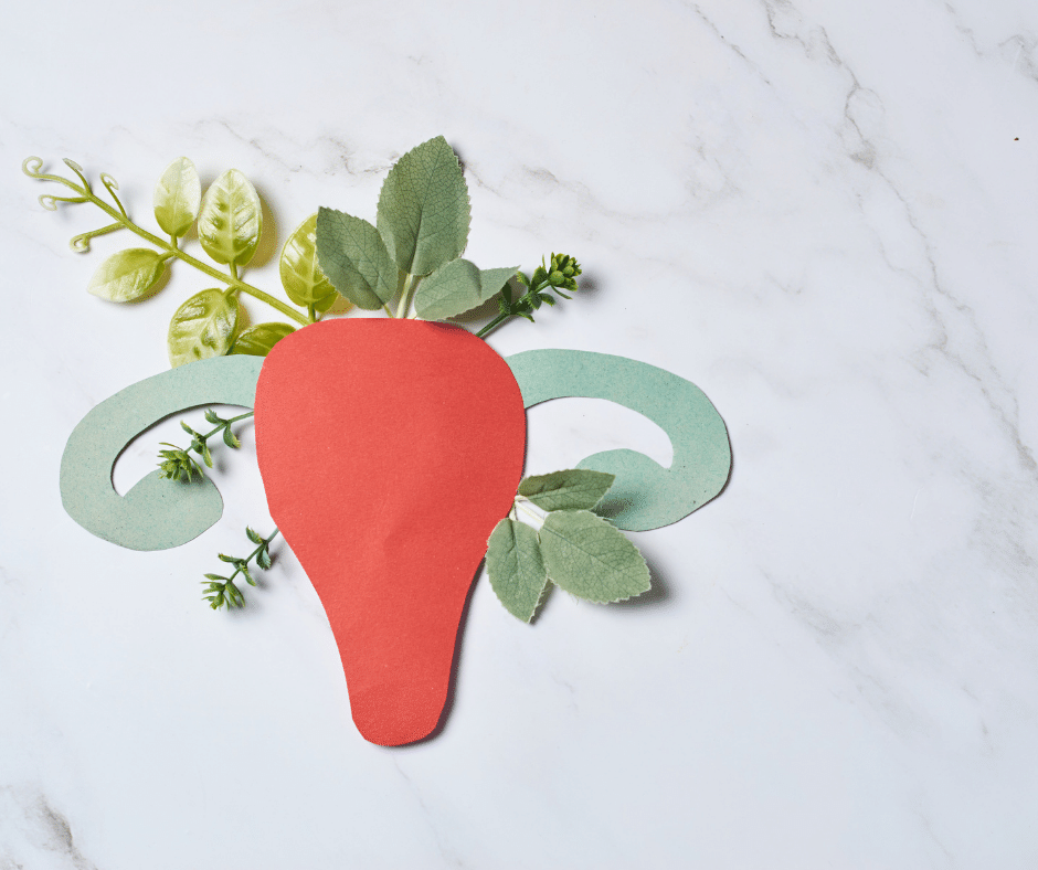 serviks kanseri esra tuştaş haberal